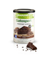Gatosport BIO saveur Chocolat-Pépites de chocolat | Boîte de 400g