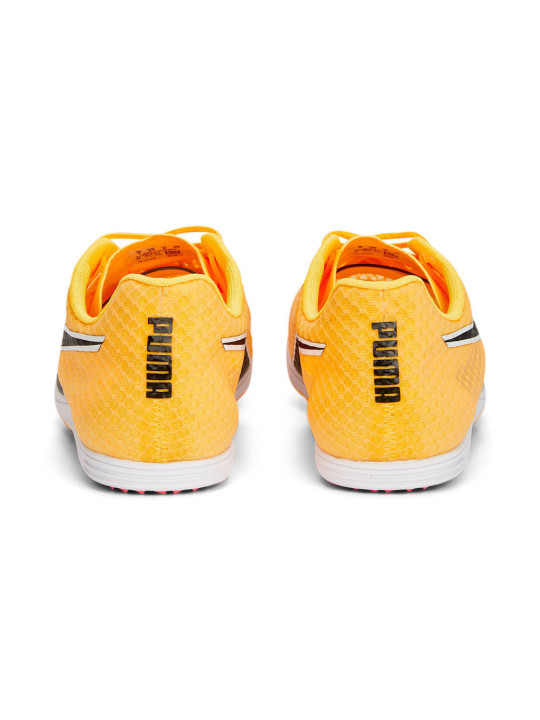 PUMA EVOSPD DISTANCE11 Homme SUN STREAM-PUMA BLACK-SILVER - 377961_01