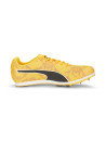  EVOSPEED STAR 8 HOMME JAUNE ET NOIRE
