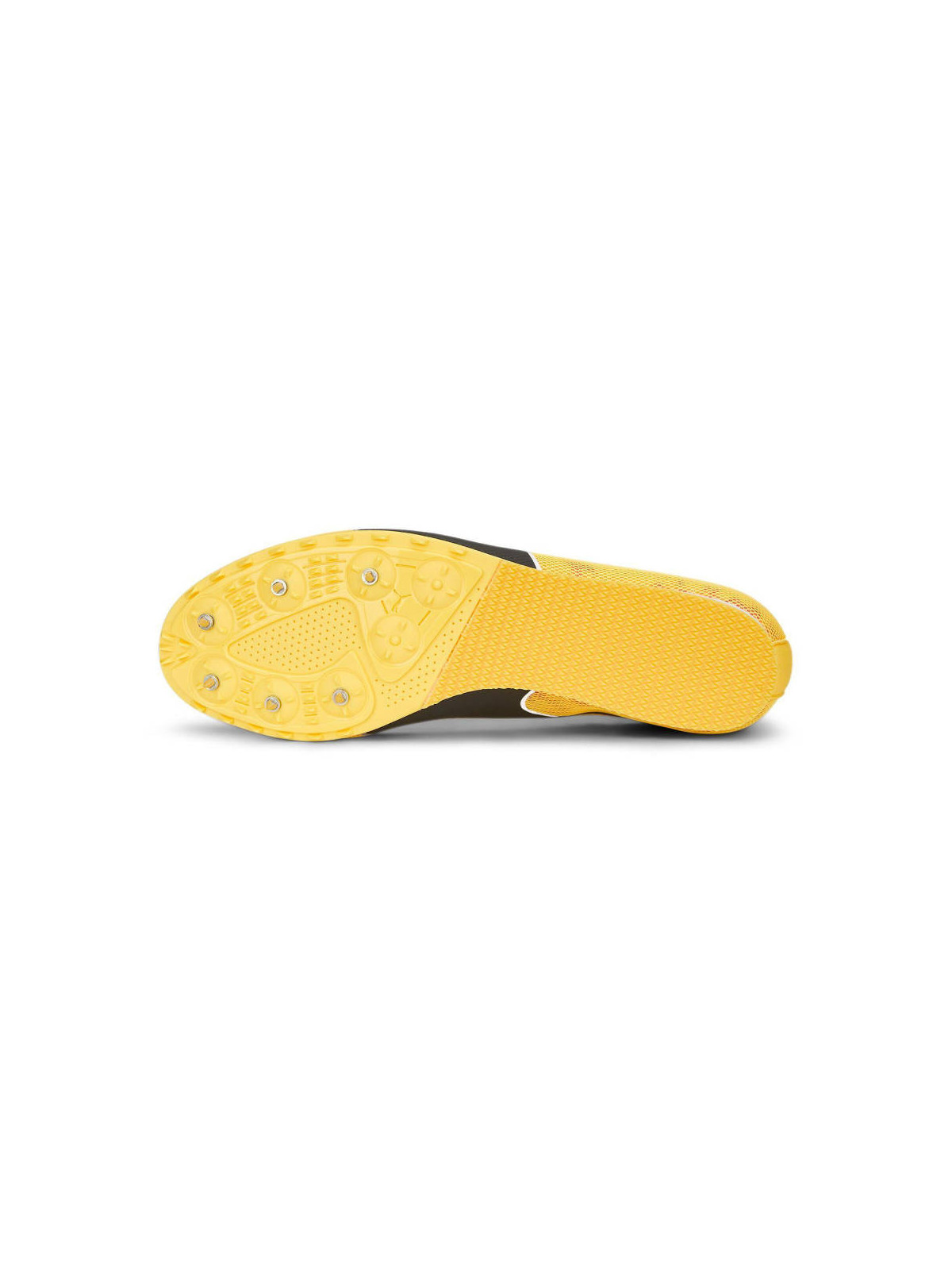PUMA EVOSPEED STAR8 Homme SUN STREAM-SUNSET GLOW-BLACK - 377959_01