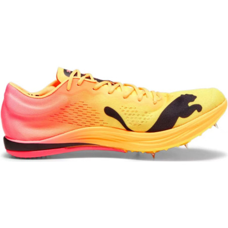 PUMA Longue Distance evoSPEED Nitro Elite+ - Chaussures d\'athlétisme