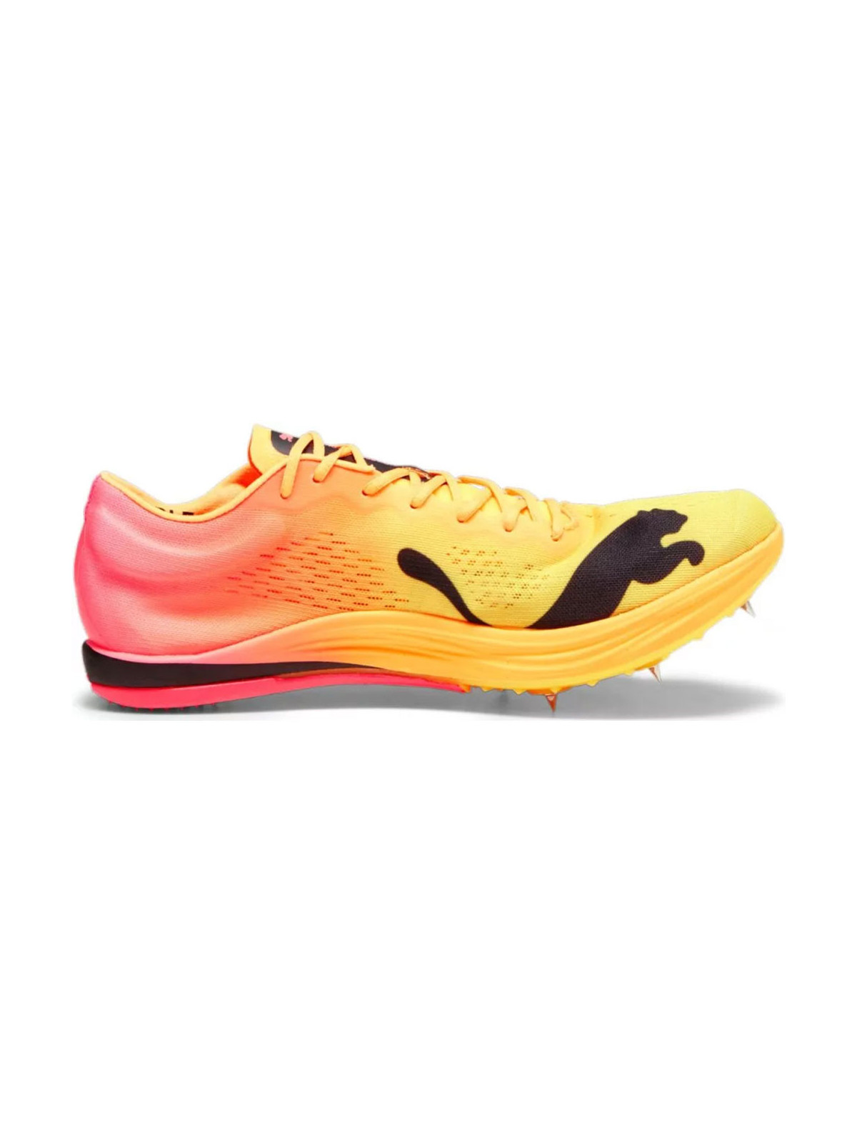 PUMA Longue Distance evoSPEED Nitro Elite+ - Chaussures d\'athlétisme
