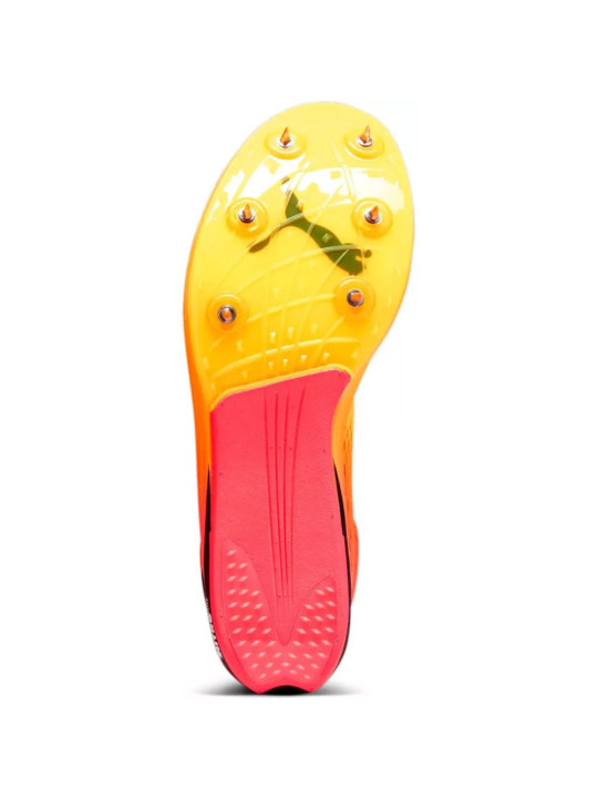 PUMA Longue Distance evoSPEED Nitro Elite+ - Chaussures d\'athlétisme