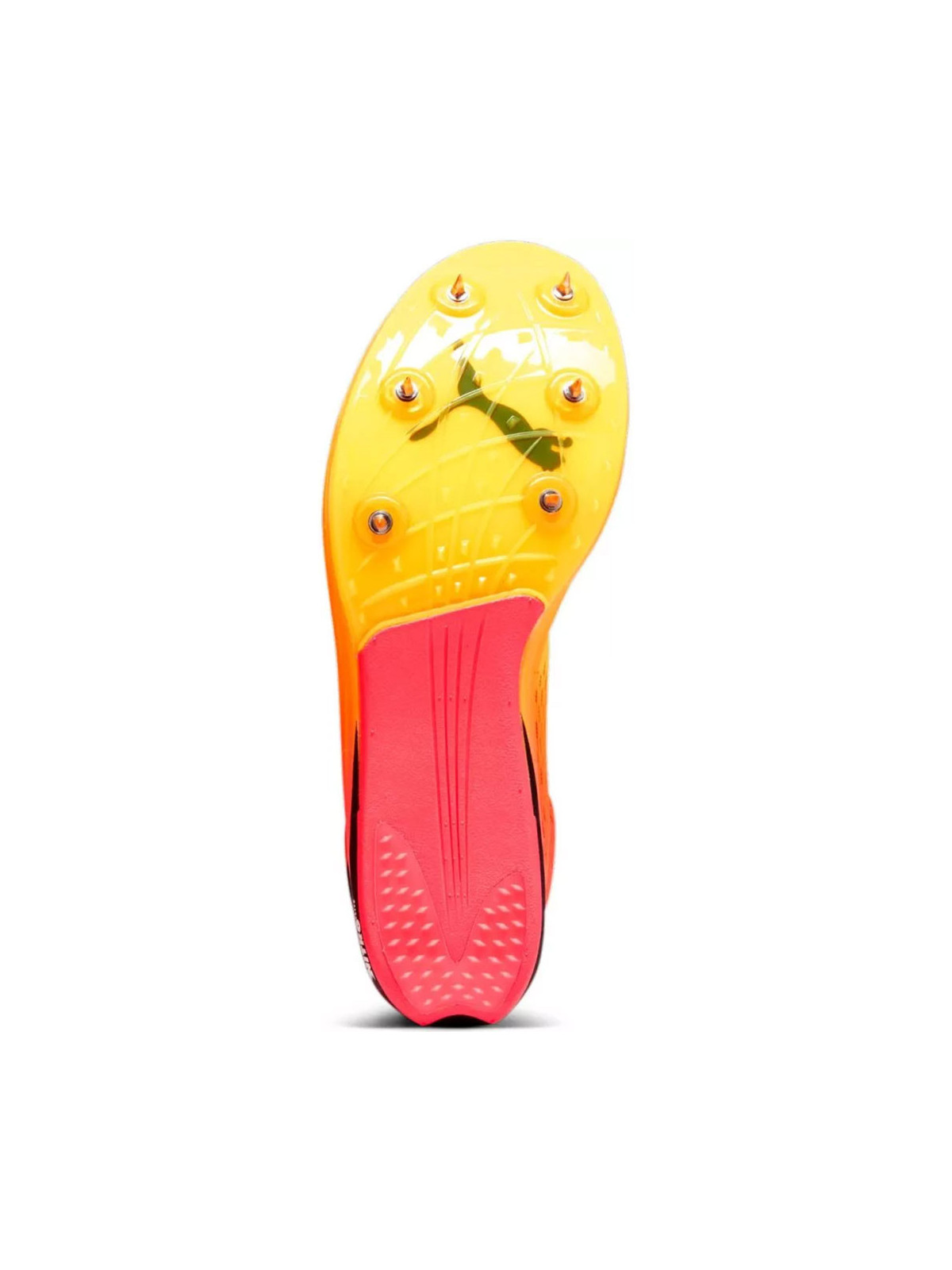 PUMA Longue Distance evoSPEED Nitro Elite+ - Chaussures d\'athlétisme