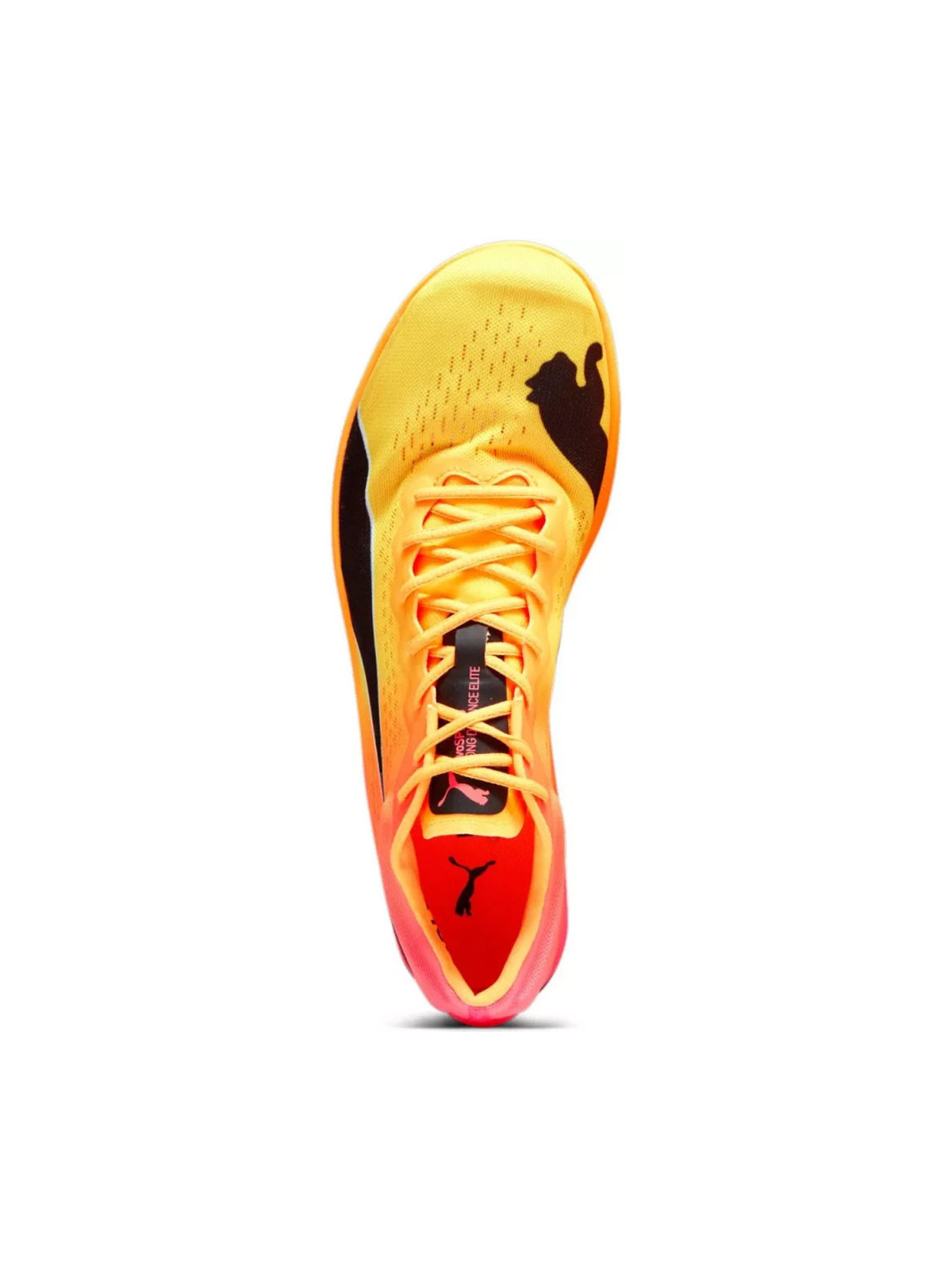 PUMA Longue Distance evoSPEED Nitro Elite+ - Chaussures d\'athlétisme