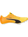 Puma Evospeed Tokyo Brush 4 - Chaussure d\'athlétisme Unisexe