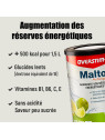 Malto Antioxydant Menthe OVERSTIM's 450g