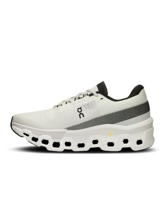 ON RUNNING Cloudmonster 2 - Blanc/Gris Femme (3WE10110664) | Confort et Performance