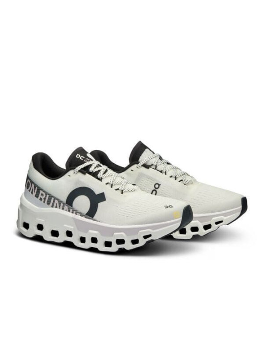 ON RUNNING Cloudmonster 2 - Blanc/Gris Femme (3WE10110664) | Confort et Performance