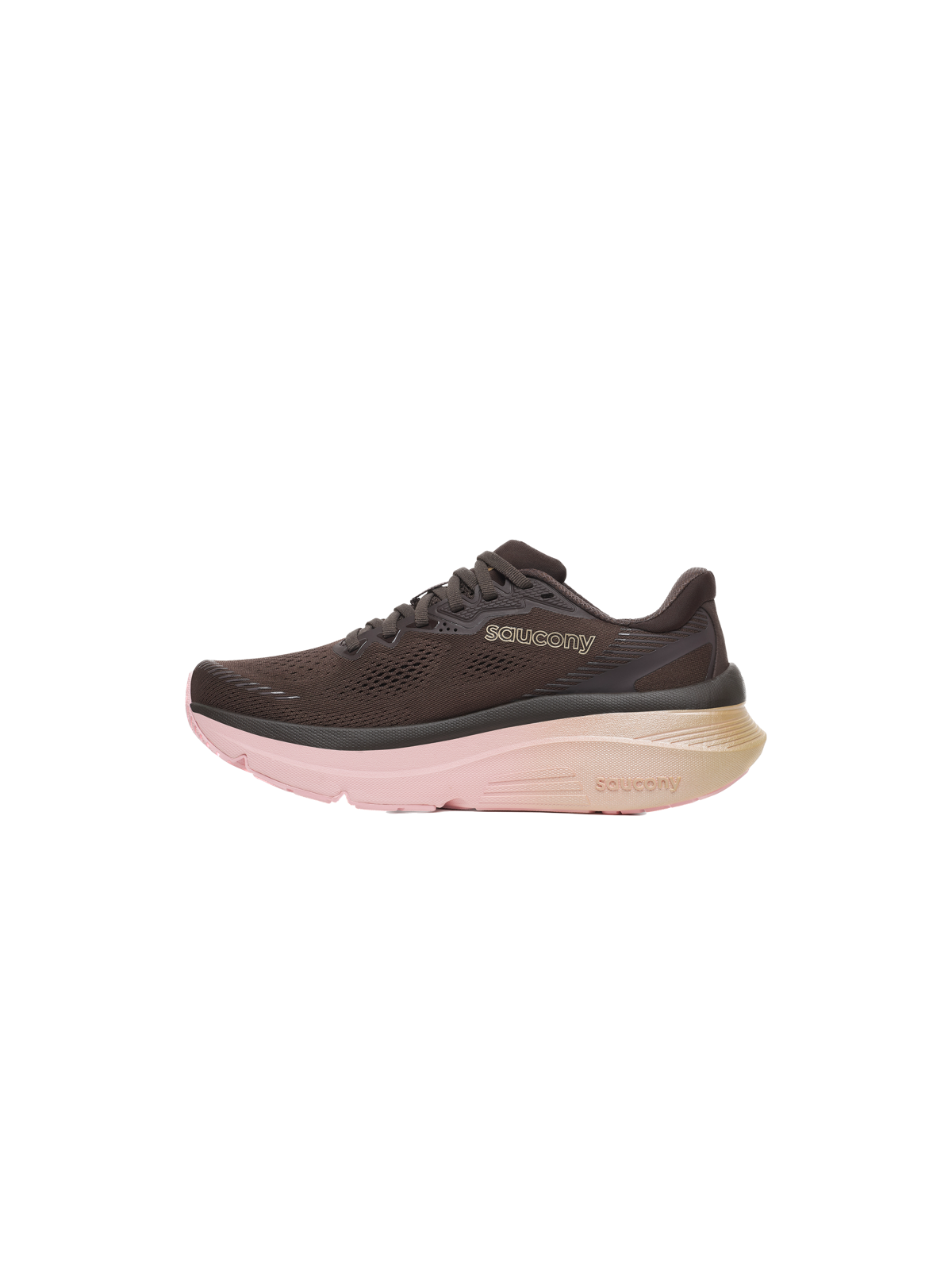 Chaussures Saucony Guide 19 Femme TORTE / AUREATE