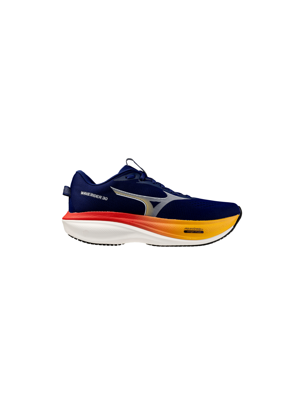 Chaussures de Running Mizuno Wave Rider 30 Homme Bleu Or