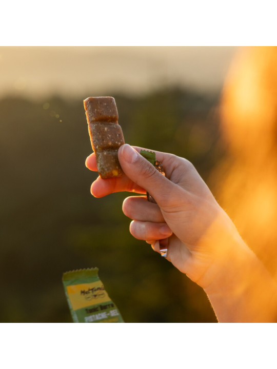 Barre Énergétique Bio Pistache & Fleur de Sel Meltonic