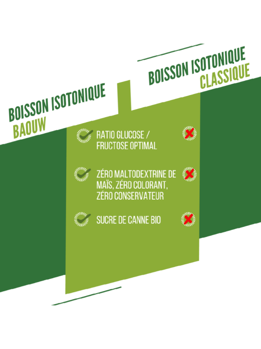 Boisson Isotonique Bio Citron Fleur de Sureau Baouw 45g