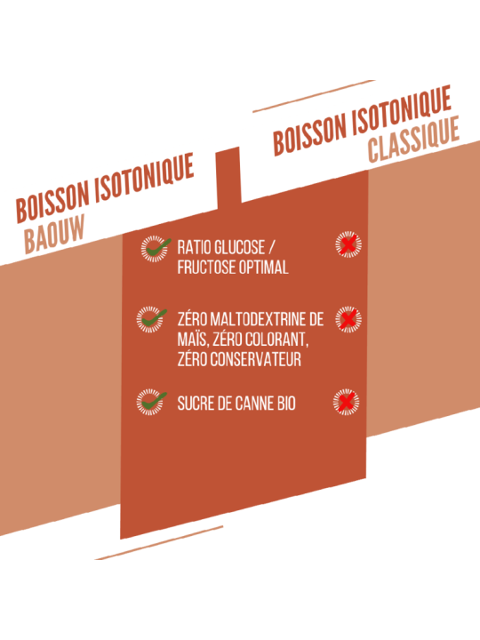 Boisson Isotonique Bio Pêche Romarin Baouw 45g
