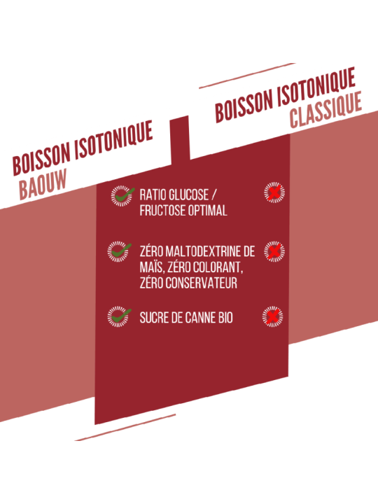 Boisson Isotonique Bio Pastèque Grenade Baouw 45g