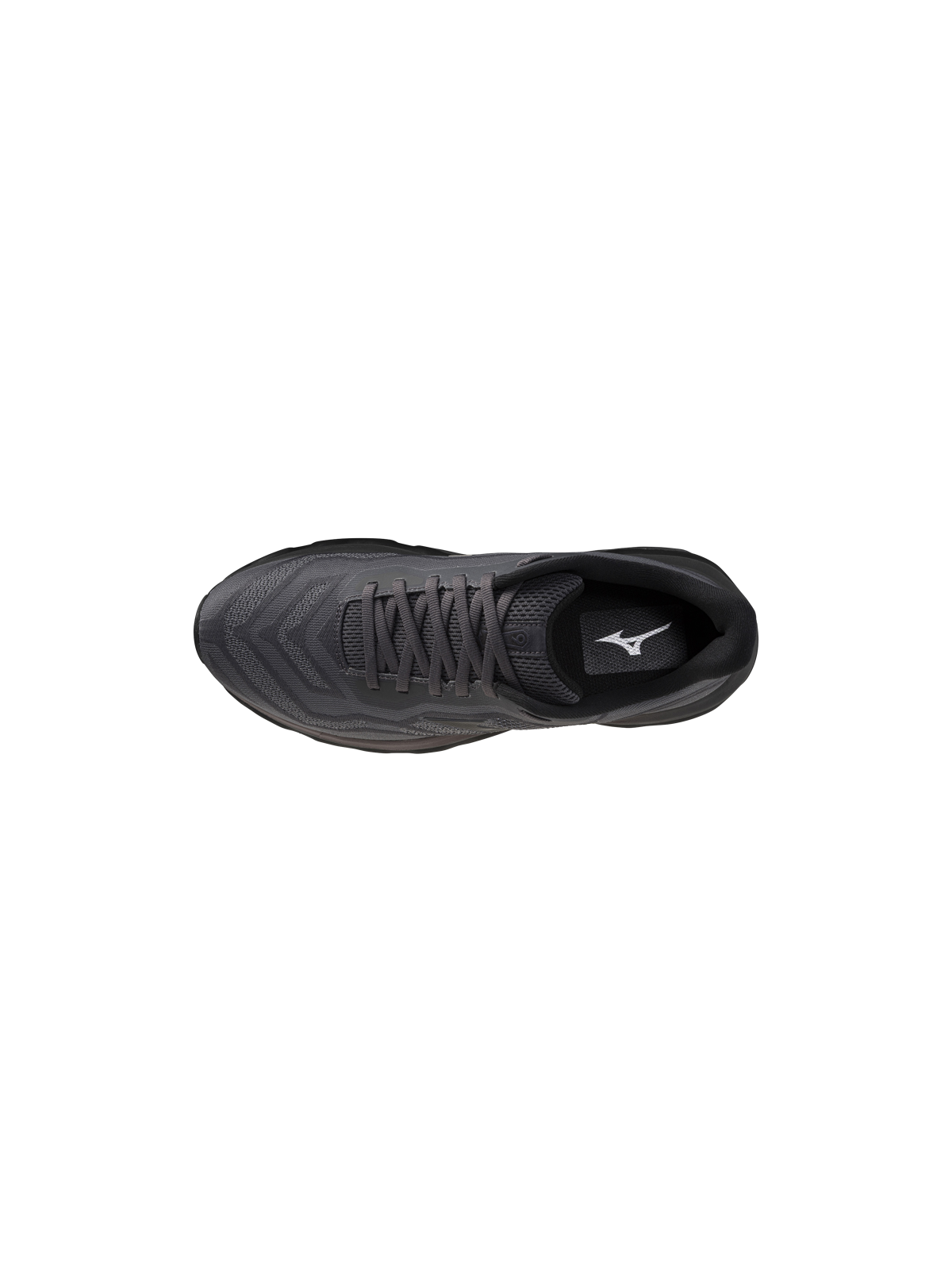 Chaussures Mizuno Wave Horizon 9 Homme Blackened Pearl