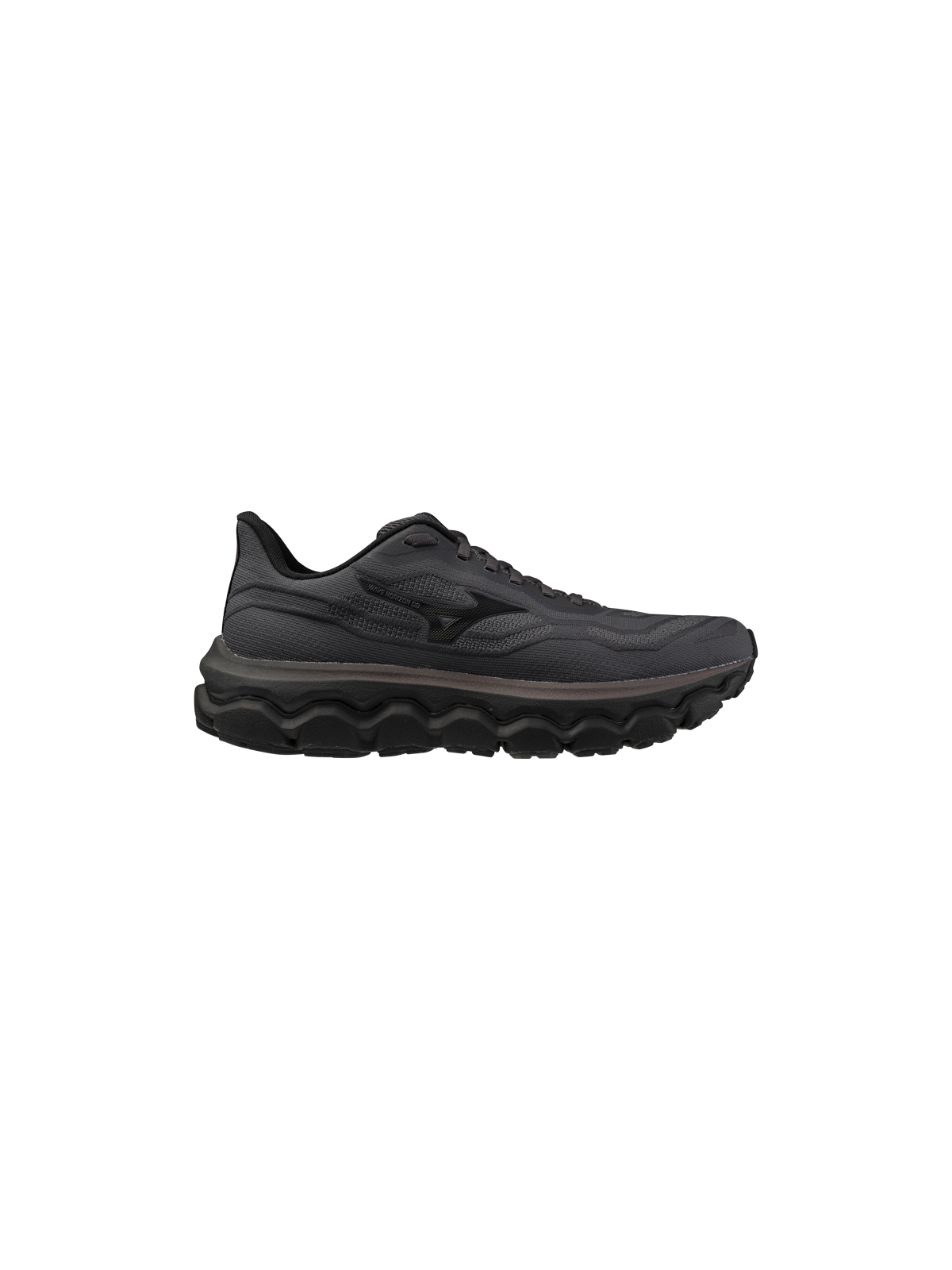 Chaussures Mizuno Wave Horizon 9 Homme Blackened Pearl