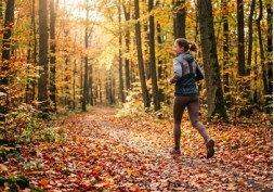 Construisez vos chronos du printemps : Pourquoi l'automne est indispensable?