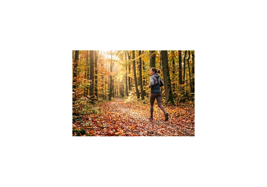 Construisez vos chronos du printemps : Pourquoi l'automne est indispensable?